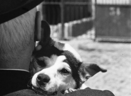 Umberto D